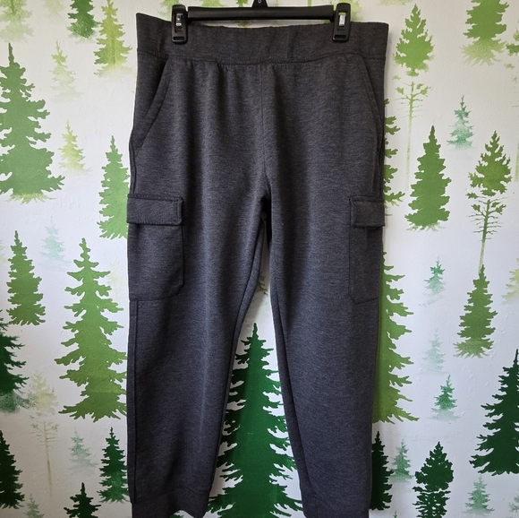ZeroXposur Other - Gray ZeroXposur Cargo Jogger Pants